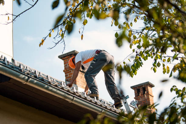 Best Roof Inspection Near Me  in Coloma, MI