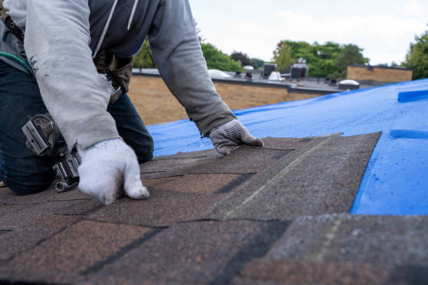 Best Roof Leak Repair  in Coloma, MI