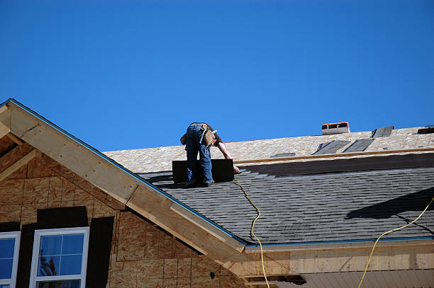 Roof Gutter Cleaning in Coloma, MI